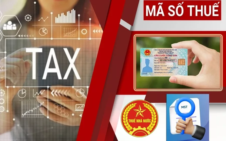 Số định danh cá nhân thay mã số thuế từ 1/7