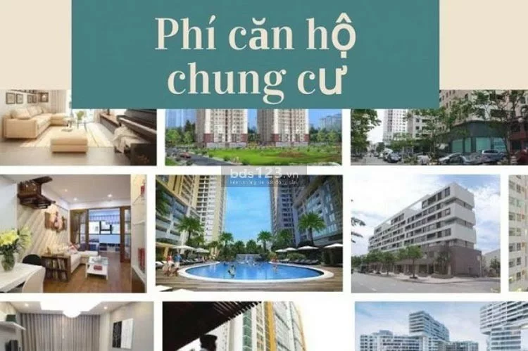 Nộp thuế dịch vụ hàng tháng khi mua căn hộ